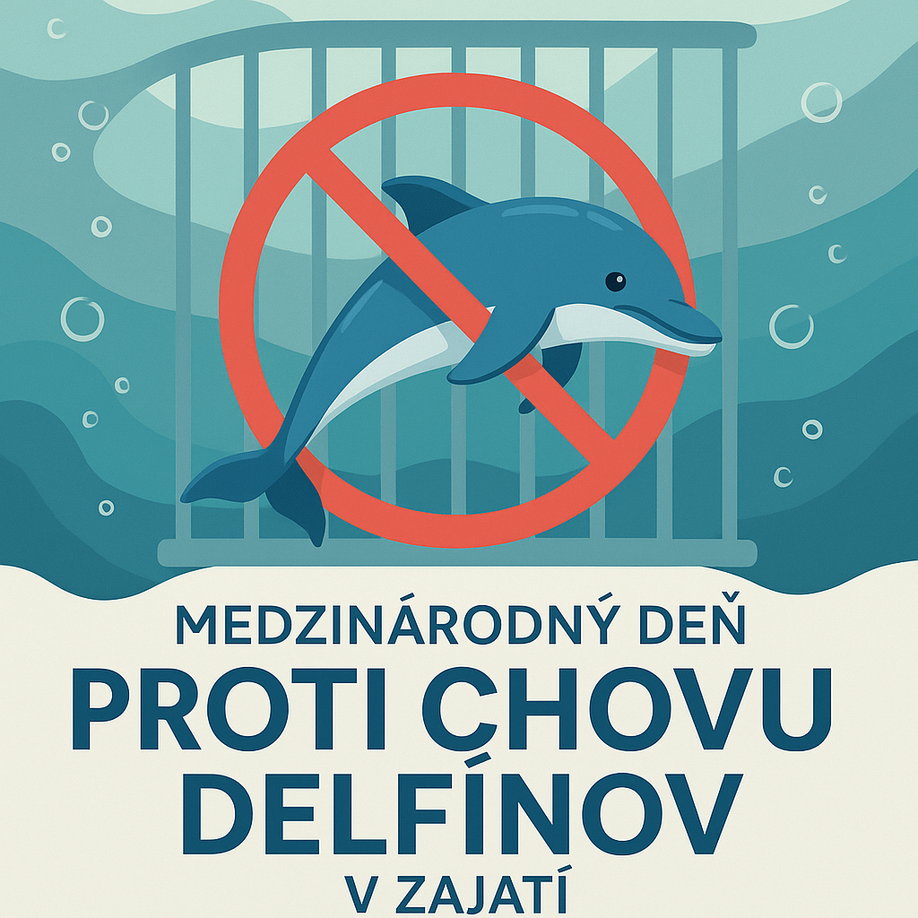 Medzinárodný deň proti chovu delfínov v zajatí (4. júl) 🐬🚫