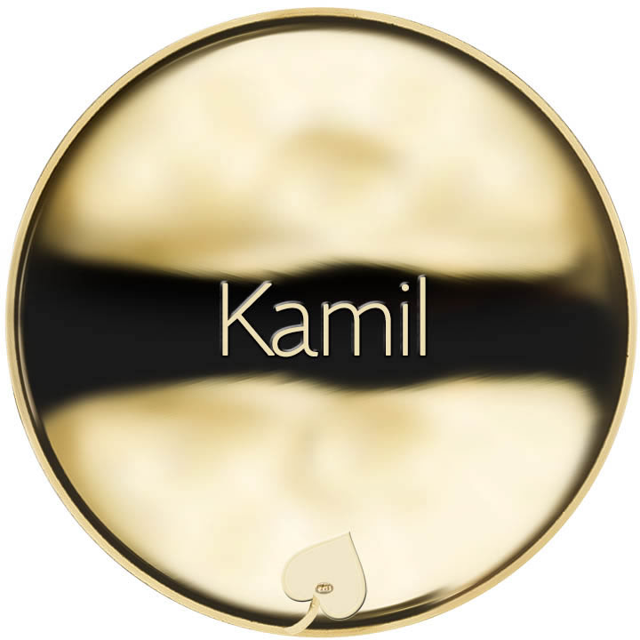 Kedy má meniny Kamil?