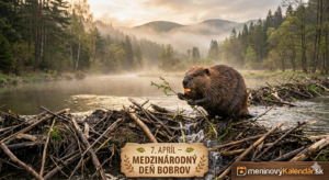 <img src="medzinarodny-den-bobrov.jpg" alt="Detailná realistická vizualizácia bobra na priehrade: bobor so žiariacimi oranžovými zubami drží vetvičku v rannom oparu nad riekou, nápis 7. apríl – Medzinárodný deň bobrov na drevenej tabuľke a logo meninovýKalendár.sk" title="7. apríl – Medzinárodný deň bobrov"> 