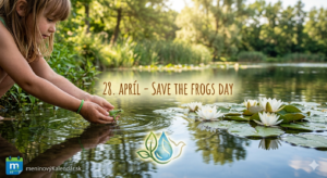 <img src="cesta-k-obrazku.jpg" alt="Detailný záber na dievča vypúšťajúce malú žabu z rúk do rybníka s leknami. Text: 28. APRÍL – SAVE THE FROGS DAY. Logo: meninovyKalendar.sk. Grafický symbol kvapky a listov.">